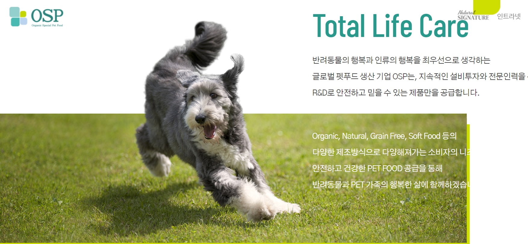[특징주] 오에스피, 바우와우코리아 인수 소식에 13%대 급등