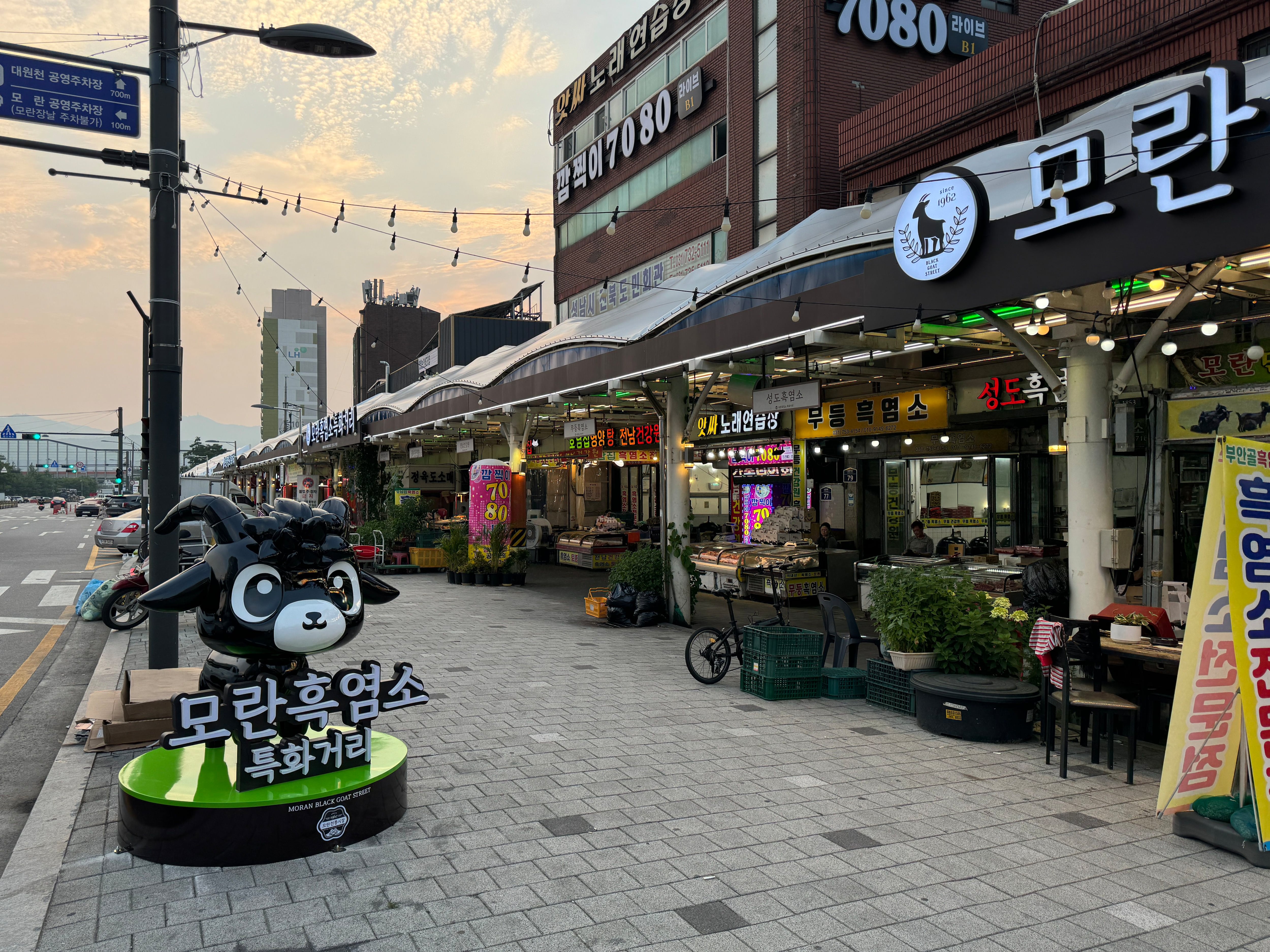 [르포] “간판 바꿔도 찾아”… 모란시장 ‘흑염소 특화’에도 개고기 판매 여전