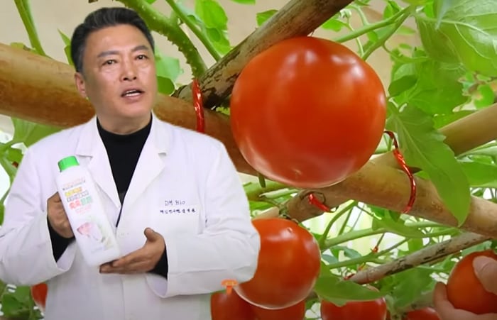 단지바이오, 친환경 미생물 비료로 국제표준(ISO 9001) 인증 획득