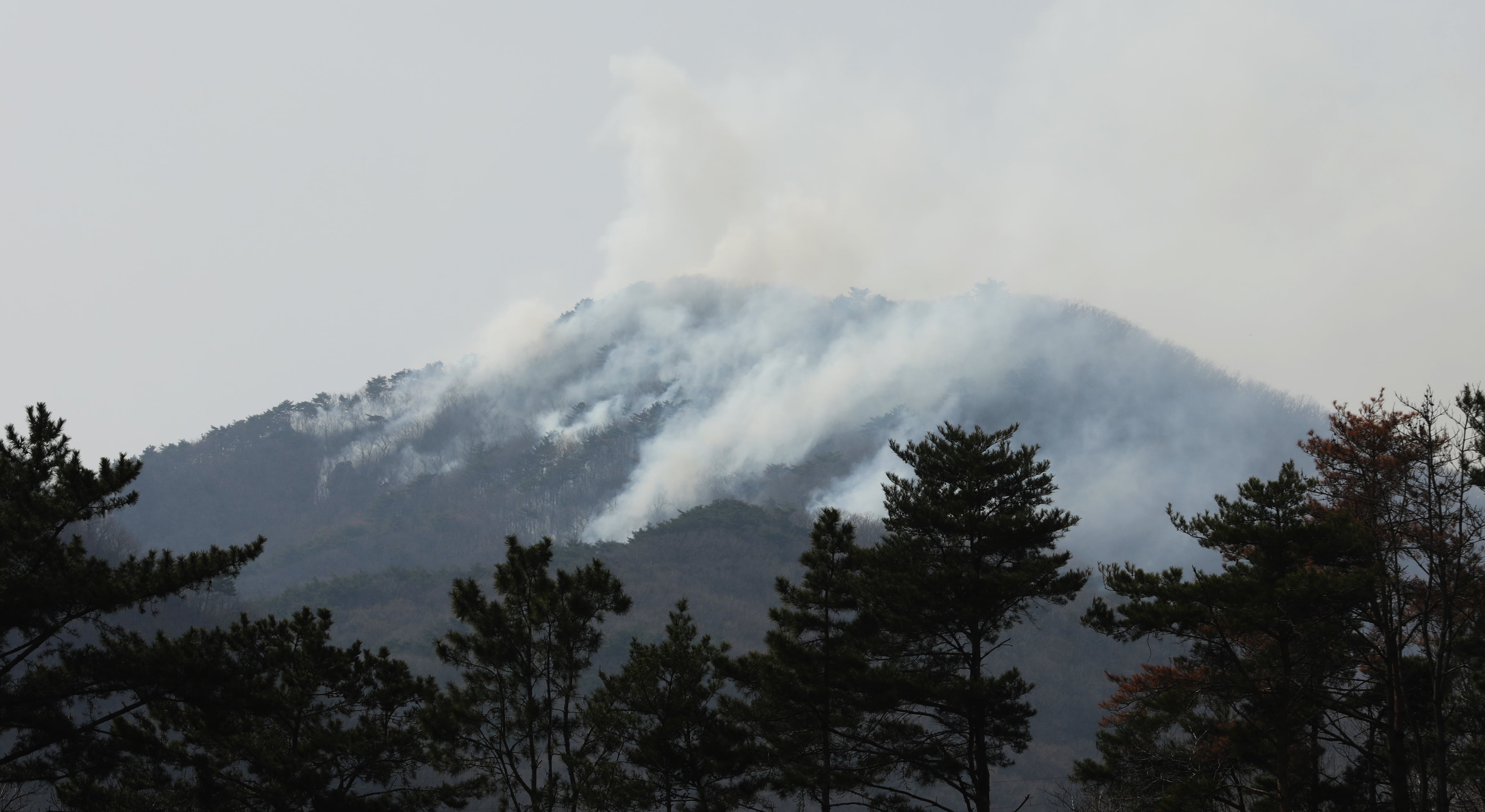의성 산불 강풍에 안동으로 확대… 서산영덕고속도로 휴게소 불에 타
