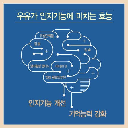 24분기 학생 식생활교육40우유마시고 똑똑해지기41 사진