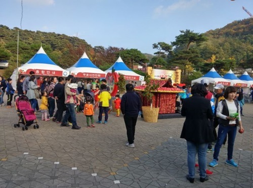 22일 영주 사과축제 개최…즐길거리 풍성