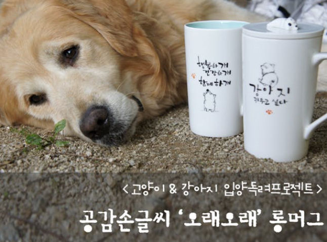 도자기손그림협동조합 화담 프로젝트…후원하고 선물까지 보답해 화제