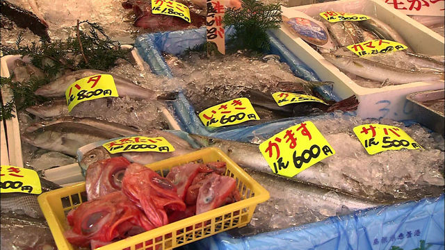 후쿠시마 수산물 수입 한일 WTO 분쟁 오늘 최종판정