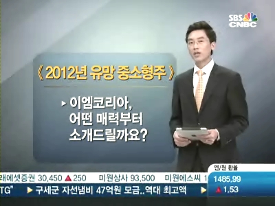 2012년 유망 중소형주 이엠코리아