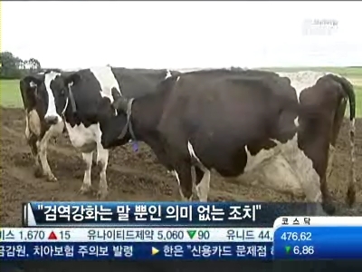 美쇠고기 수입 즉각 중단하라…4년만에 다시 촛불켜나