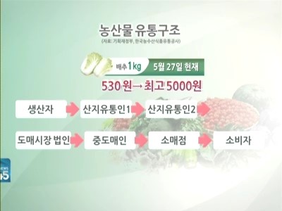 농산물 유통구조·도매시장 대수술…가격 안정화될까