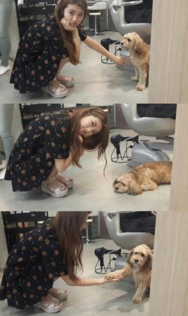 수지, 순심이와의 만남 순둥하게 생겨서 꽤나 도도해