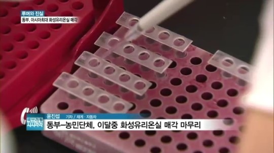 [단독] 아시아최대 동부 유리온실, 이달 중순 팔린다
