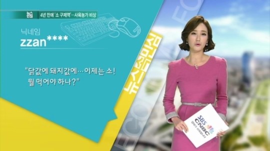 [뉴스 속 민심] 돼지이어 소까지 덮친 구제역…속타는 사육농가
