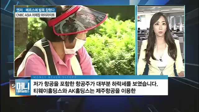 메르스 공포에 잘 날던 항공주 뚝