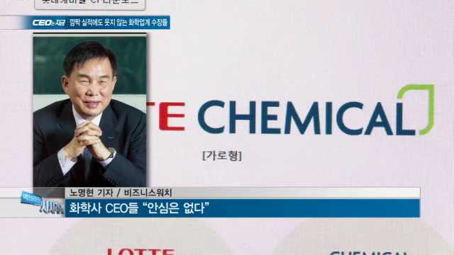 [CEO&CEO] 깜짝 실적에도 웃지 않는 화학업계 수장들