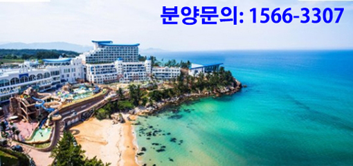 [비즈갤러리] 대명리조트 쏠비치삼척 회원권 특별분양