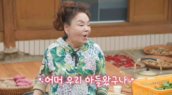 김혜자 눈물→최불암 근황 공개, ‘회장님네’ 오늘 첫방 [DA:투데이]