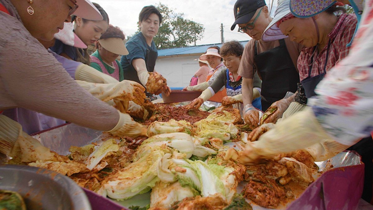 허영만·류수영·미미·함연지, 2년 대장정 ‘맛의 나라’ 출연…10일 공개