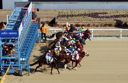 경마공정성 종합대책 경마비위 신고하면 포상금 최대 1억원