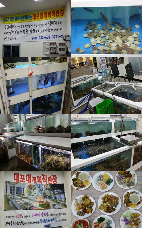 속초 대포항 대표 맛집, 대포대게회직판장…“인기 있는 이유 있네”