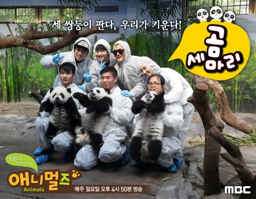 ‘일밤-애니멀즈’, ‘OK목장’·‘곰 세마리’ 포스터 전격 공개