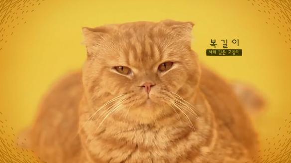 <상상고양이> 유승호♡복길, 미리 만나는 특급 케미! 티저 공개!