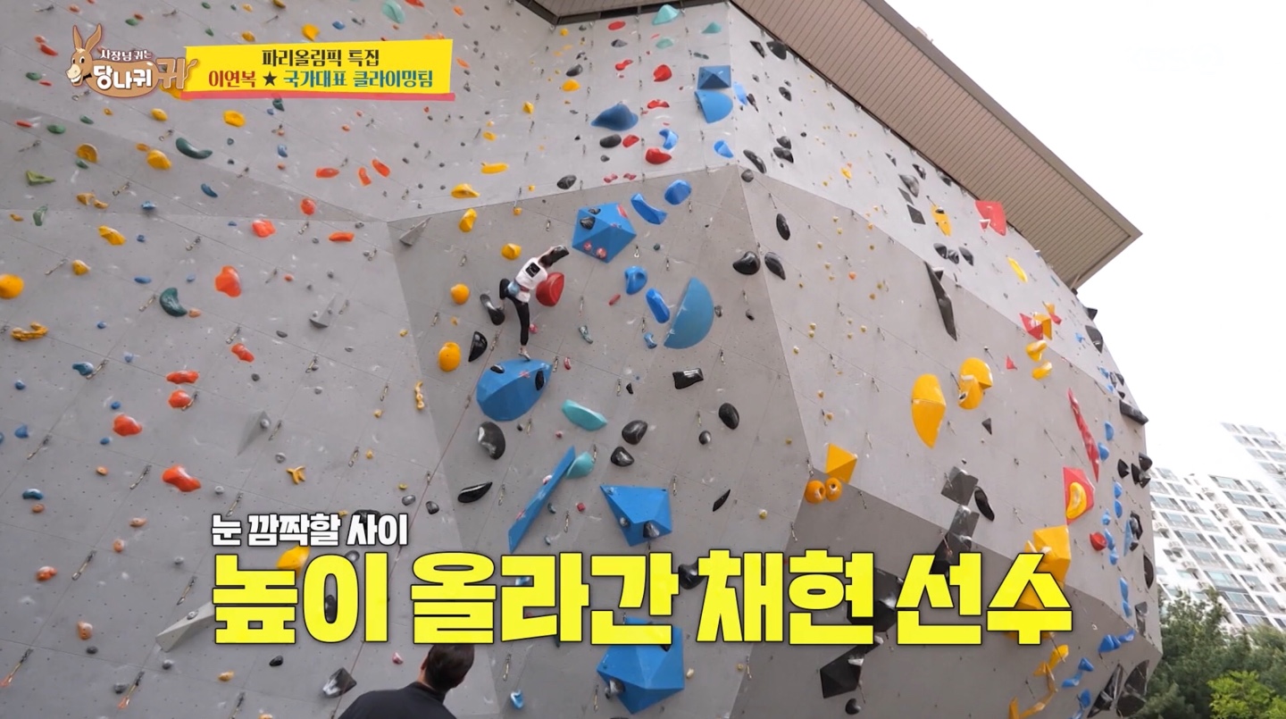 이연복, 클라이밍 국대 서채현에 인간이 아니라 거미 감탄 (사장님귀는 당나귀귀)
