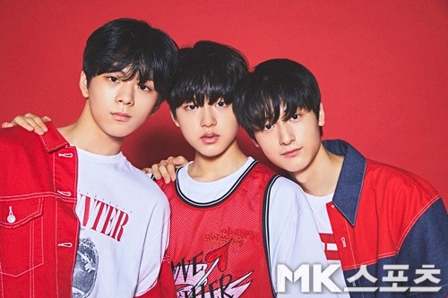 마루기획 이진우·이태승·이우진을 소개합니다 [틴틴 집중탐구①]