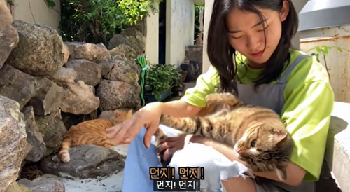 ‘힐링 유튜버’ 윤이버셜 사망 “장례 조용히 마무리”