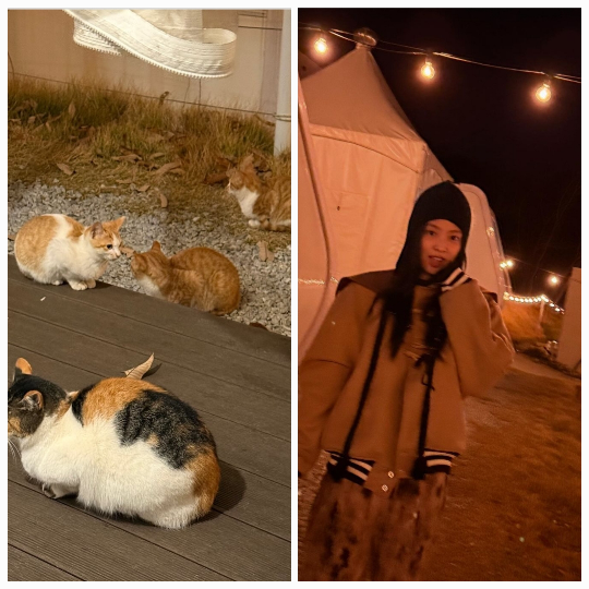“고양이도 반한 감성”→제니, 겨울 캠핑룩으로 힐링과 스타일 완성