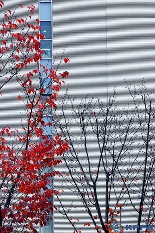 만든곳: Daum 카페: 한국 네티즌본부.