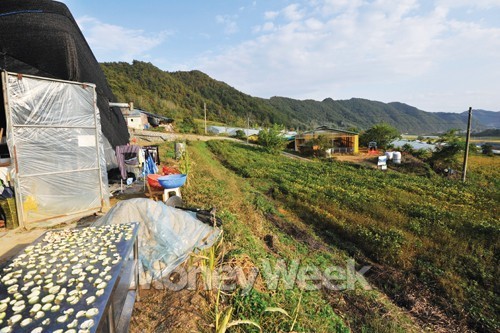 새출발·로망·힐링… 자연으로~