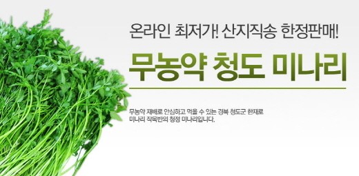 코레일유통, 청도 한재로 미나리 온라인 최저가 판매