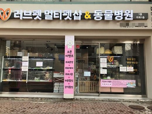 러브펫 멀티펫샵 노원점 공릉점 연이어 오픈