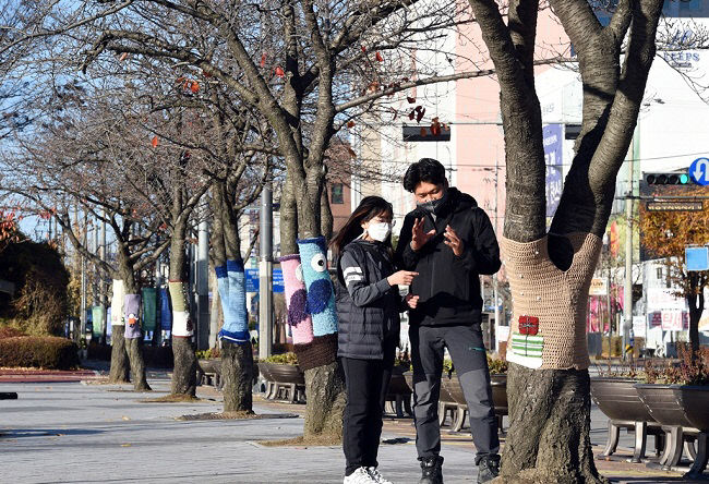 의정부시, 마을공동체 가로수에 뜨개옷 입혀… 이색 볼거리 제공