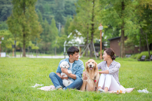 대기업도 가세한 펫산업… 오너들의 댕댕이 사랑