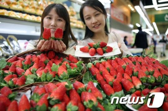 달콤한 딸기가 벌써?