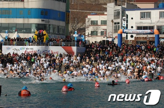 거제도국제펭귄수영축제