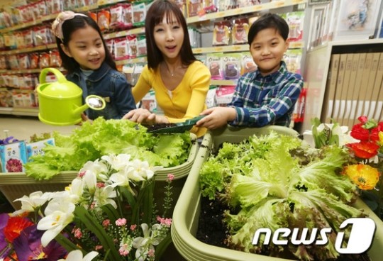 롯데마트 우리집에 텃밭 들여놓으세요
