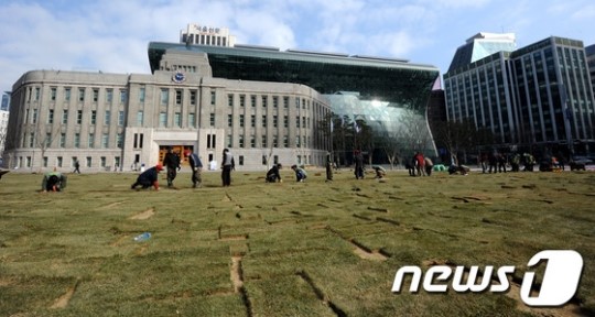 새 잔디 입는 서울광장