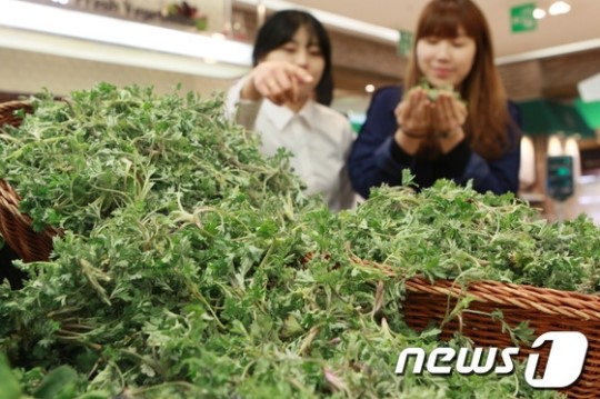 [단신] 롯데百 광주점 향긋한 쑥향기 봄내음 가득~
