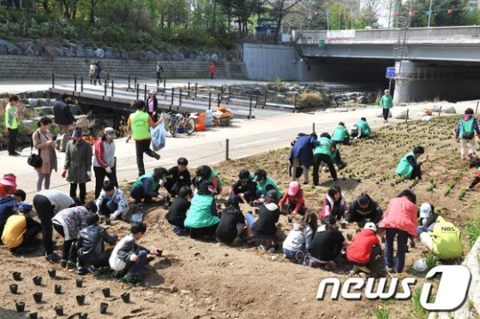 약초심기 체험해요!