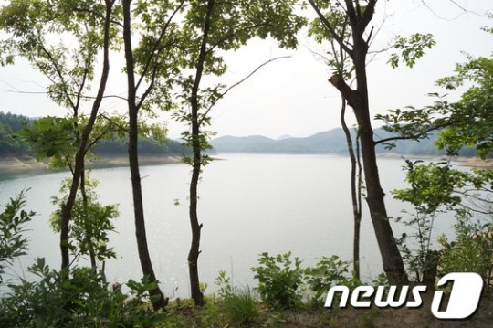 시원한 호수바람 부는 횡성 호수길