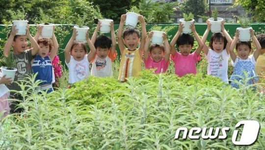 우리가 심은 허브에요