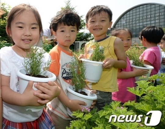 허브 심으러 왔어요