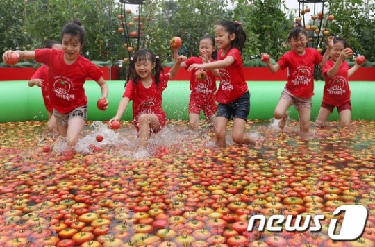 신나는 토마토 풀장