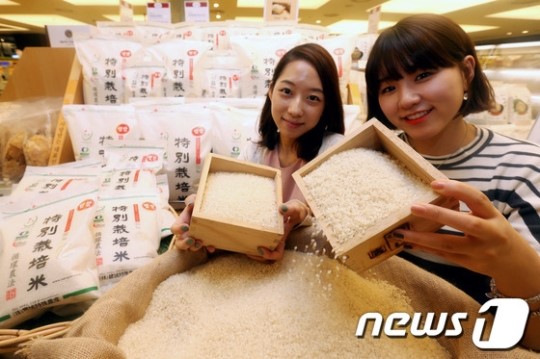 현대百 유기농 보성 햅쌀 선보여