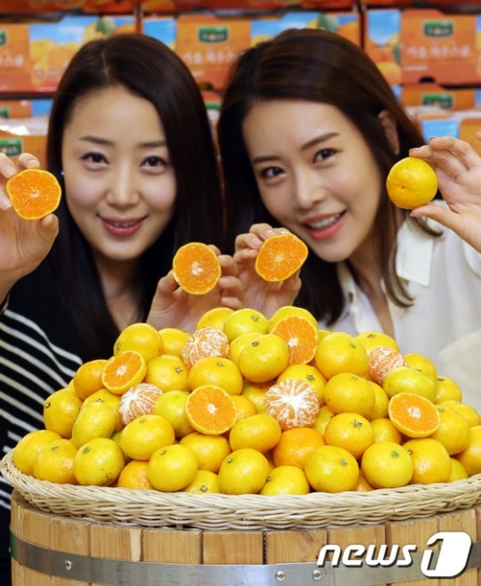가을에도 맛있는 밀감이 나왔어요!