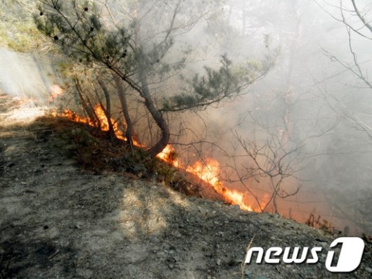 안동 길안서 쓰레기 태우다 산불…0.3ha 소훼