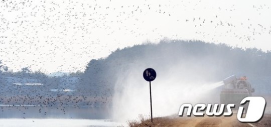 금강하구 방역작업 철저