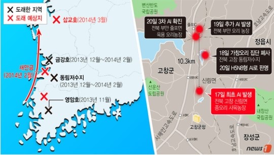 AI 확산되나…부산 을숙도·충남 삽교호 철새 감염 가능성(상보)