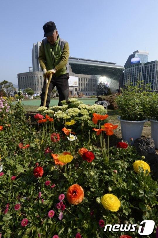 꽃향기 물씬 풍기는 서울광장