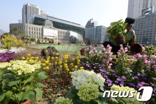 서울광장에서 꽃향기 맡으세요
